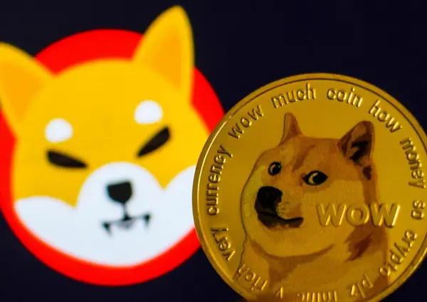 Shiba Inu