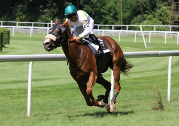 Carreras de caballos